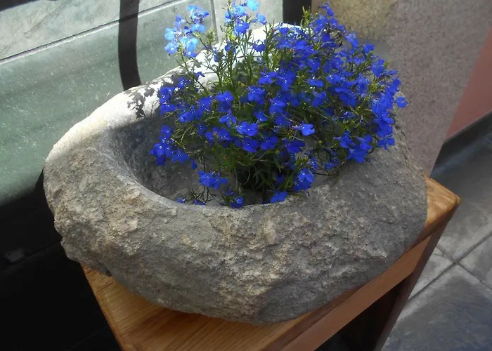 Gasthuis Xardin De Estrelas ***