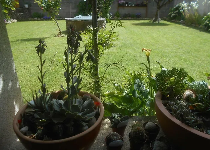 Xardin De Estrelas *** 4*