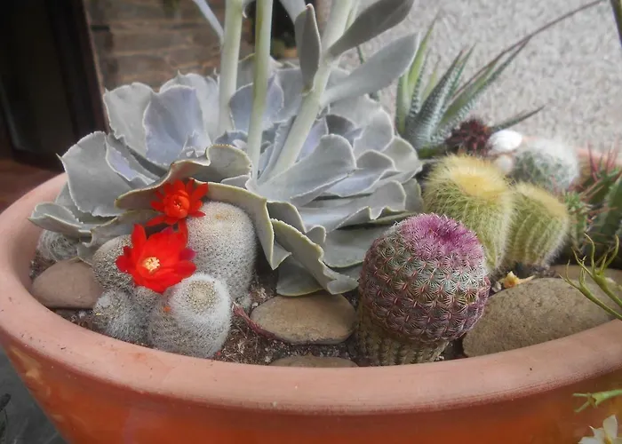 Gasthuis Xardin De Estrelas *** Sarria